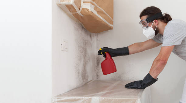 Professional Basement Mold Removal technician working in King of Prussia, PA