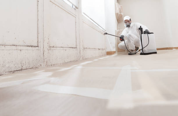 24/7 Emergency Basement Mold Removal experts in King of Prussia, PA