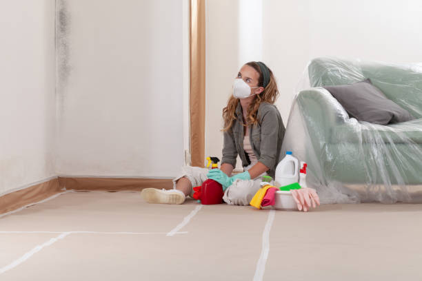 Reliable Basement Mold Removal contractor in King of Prussia, PA by WQB Mold Removal